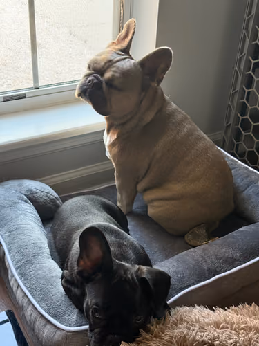 Lulu and Ozzy